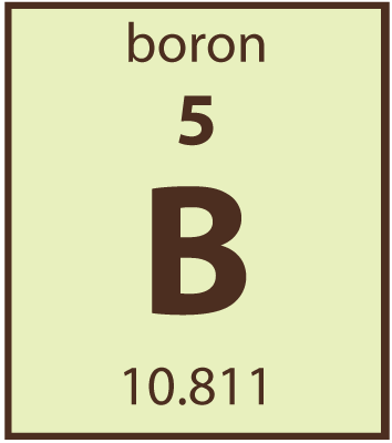 Boron-testing-in-soil