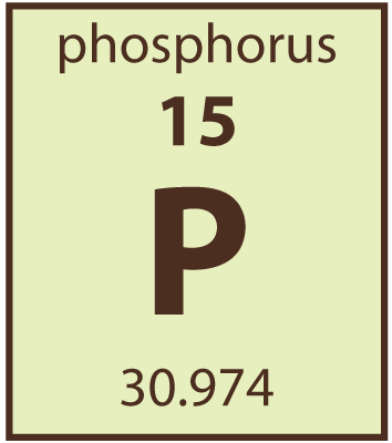 Measurement-Available-Phosphorous