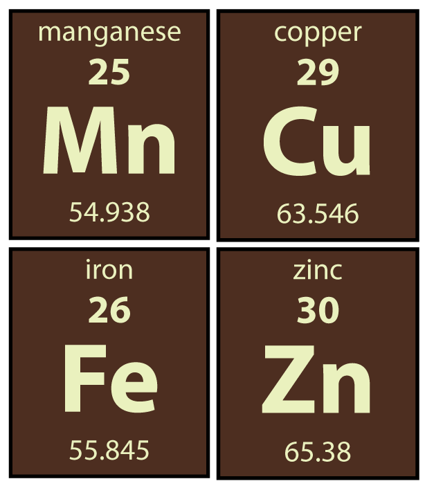 Zinc-copper-Manganese-Iron-sq