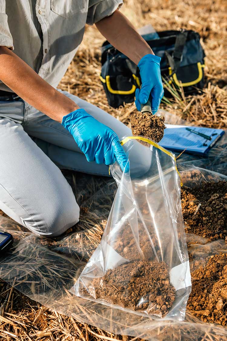 Soil testing lab analysis for home gardeners in California